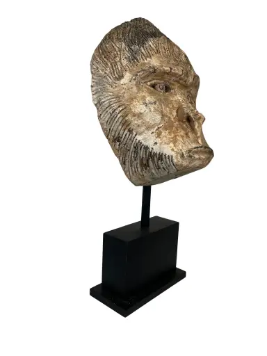 [2025-09-04-0014-A] Tête de Gorille Sculptée sur Socle - 97 x 42 x 35 cm