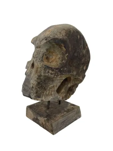 [2025-09-26-0030-A] Crâne Sculpté - 31 x 15 x 22 cm