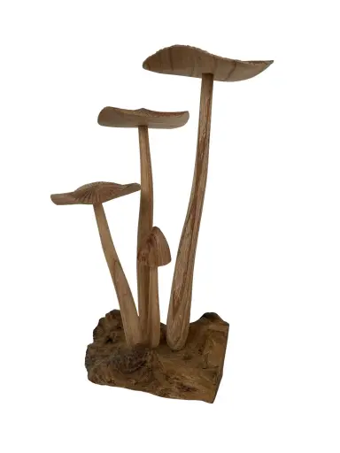 [2025-09-26-0050-A] Champignons Sculptés - 34 x 17 x 20 cm