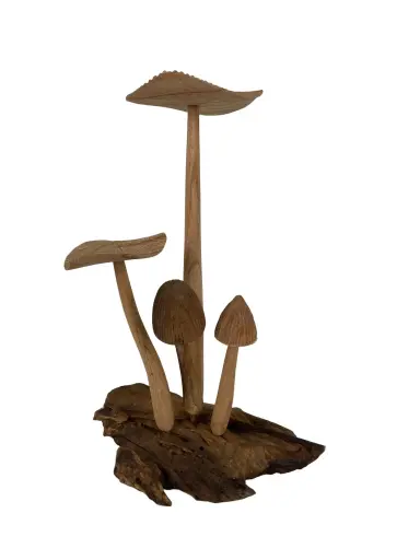 [2025-09-26-0053-A] Champignons Sculptés - 37 x 24 x 21 cm
